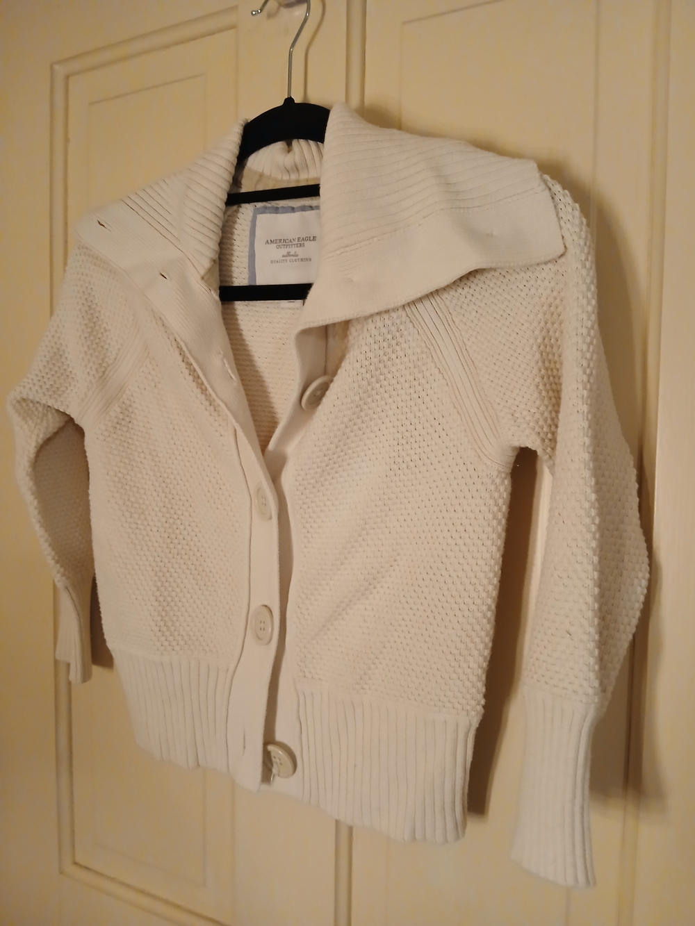 American Eagle Outfitters Vintage Button Up Sweater